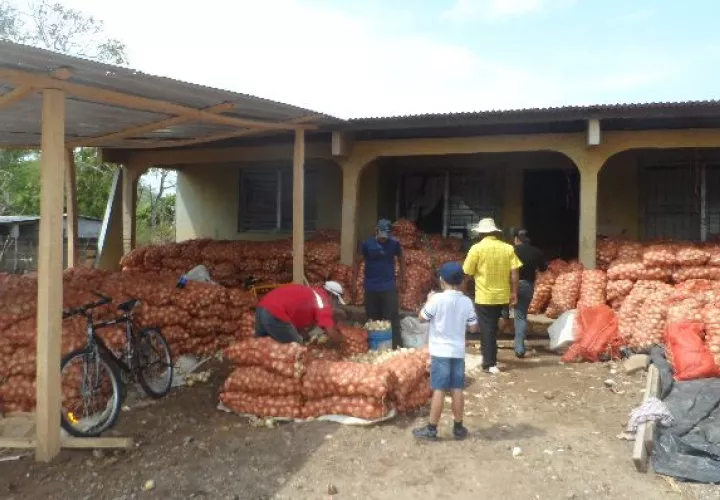 Productores no descartan nuevas medidas de presión.  / Archivo
