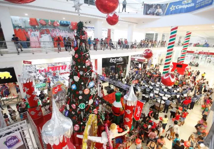 El encendido del árbol de gran altura de Claro. 