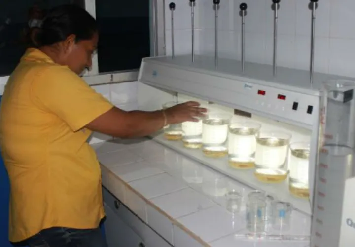 Pruebas indican que el agua ya es óptima. Foto: José Manuel Adames 