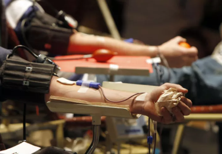 Tenían prohibido donar sangre desde hace 30 años. Foto/ AP