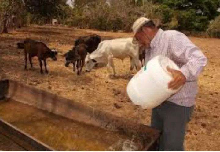 Temporada seca que amenaza con tener entre 50% y 60% menos precipitaciones que el promedio registrado en años anteriores/Archivo.