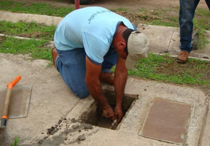 Foto/ José Adames