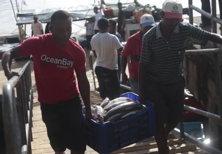 Especies como pargo, corvina y sierra han bajado, mientras que otras como la cojinúa han desaparecido, según pescadores. Archivos