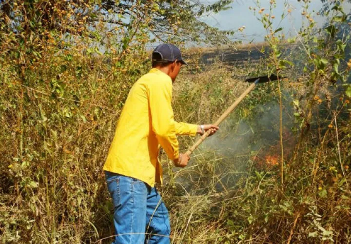 Van 102 incendios forestales.