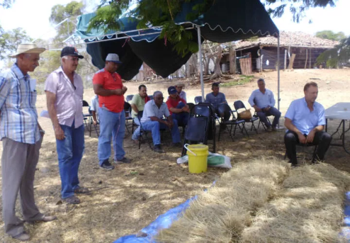 Los productores recibieron información en métodos de hidrolización de pasto/Cortesía.