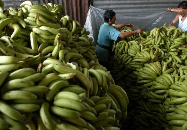 Las importaciones desde los EE.UU. experimentaron un incremento" del 39.45%. /Foto EFE