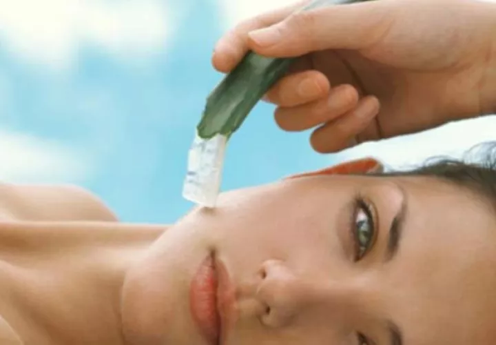 El aloé vera es esencial para tener un cutis perfecto