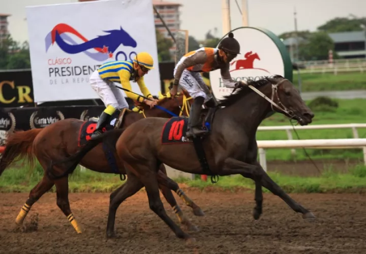 Queen Pearl (10). /Foto Anayansi Gamez