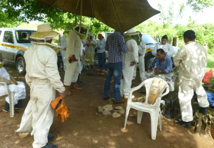 Este es uno de los rubros que mayor aportación financiera provee a los que trabajan este arte/Cortesía.