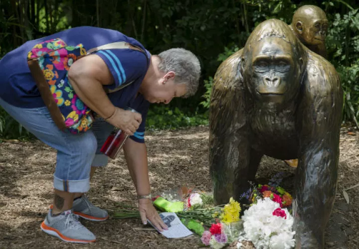 Foto/ AP