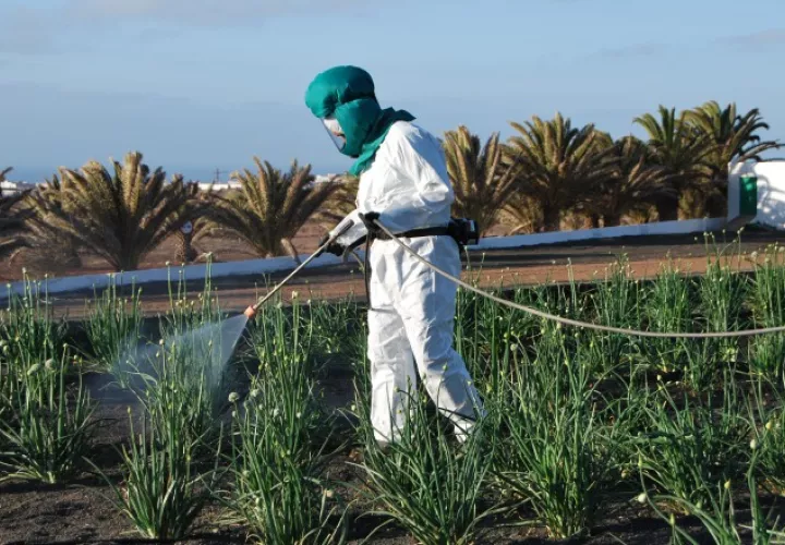 El cáncer y los desórdenes en el desarrollo de los niños se atribuyen a los plaguicidas. /Foto EFE