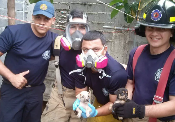 @bomberoslosanto. 