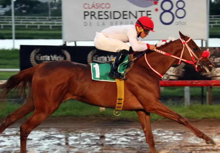 Uxia P. será la pieza favorita en las apuestas hoy. /Foto Cortesía