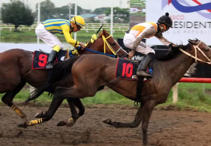 Queen Pearl ganó el Presidente con gabela de 60-1. David Beitía