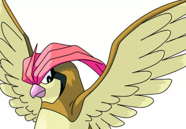 Pidgeotto