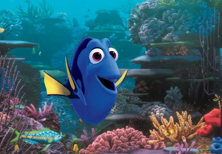 "Dory". Foto/ AP