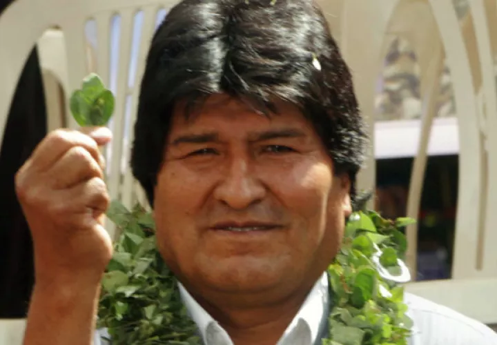 El presidente de Bolivia Evo Morales, dice que la hoja de coca es sagrada. FOTO/EFE