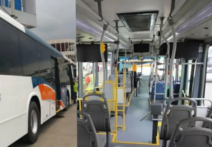 Se proponen modificaciones externas e internas de los buses.