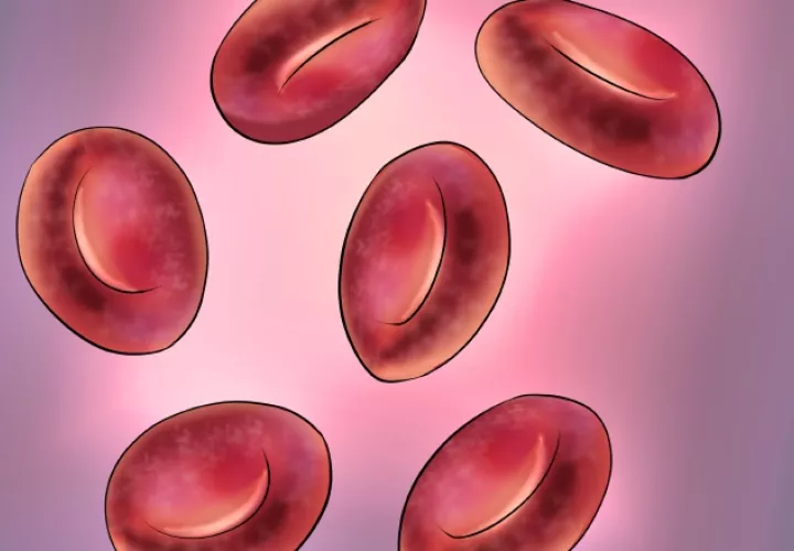 La hemoglobina disminuye. /Foto Archivo