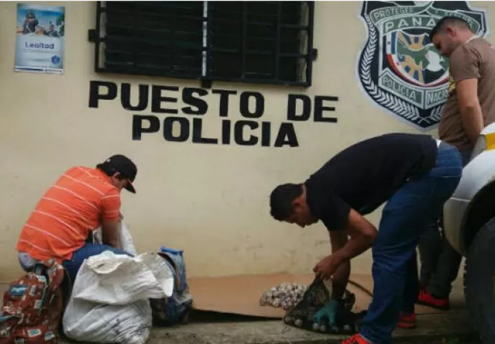 Foto: Zenaida Vásquez.