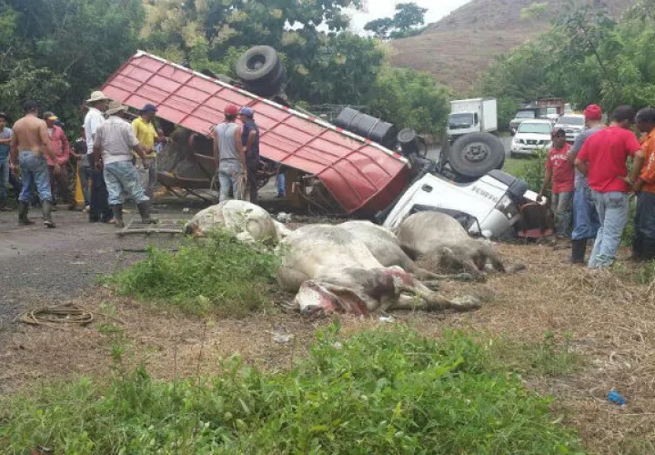 Así quedó el camión. Foto: Zenaida Vásquez 
