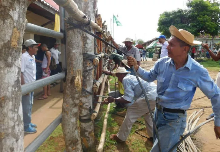 Trabajo arduo. Foto: Zenaida Vásquez.