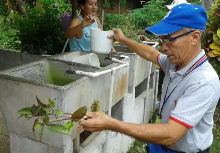 Es de vital importante seguir las medidas higiénicas y eliminar las criaderos del mosquito. /Foto Thays Domínguez