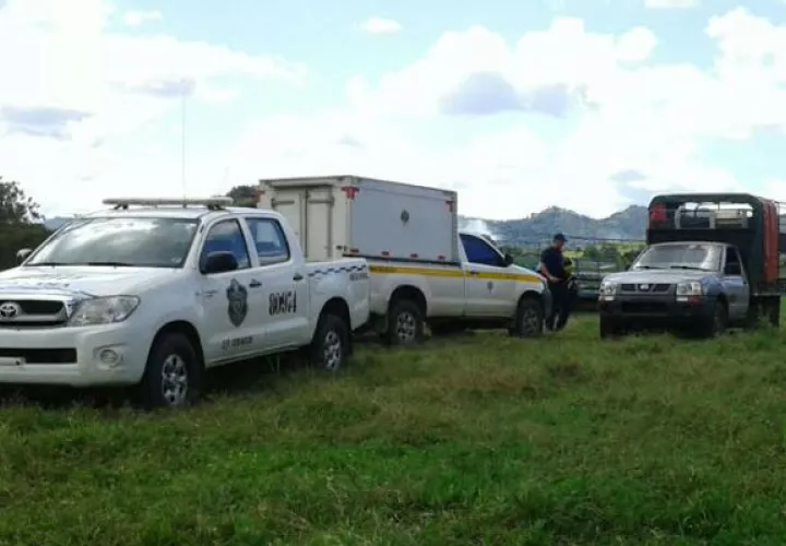 Estaba desaparecido. Foto: José Manuel Adames.