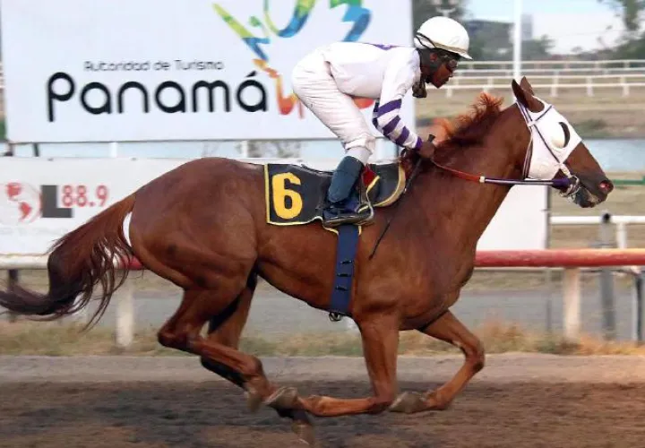 El ejemplar Tigre Mono puso a Panamá en lo más alto del podio del Clásico del Caribe. Cortesía David Beitía