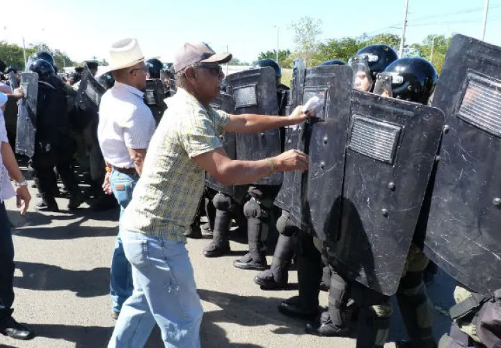 [Mira la galería]