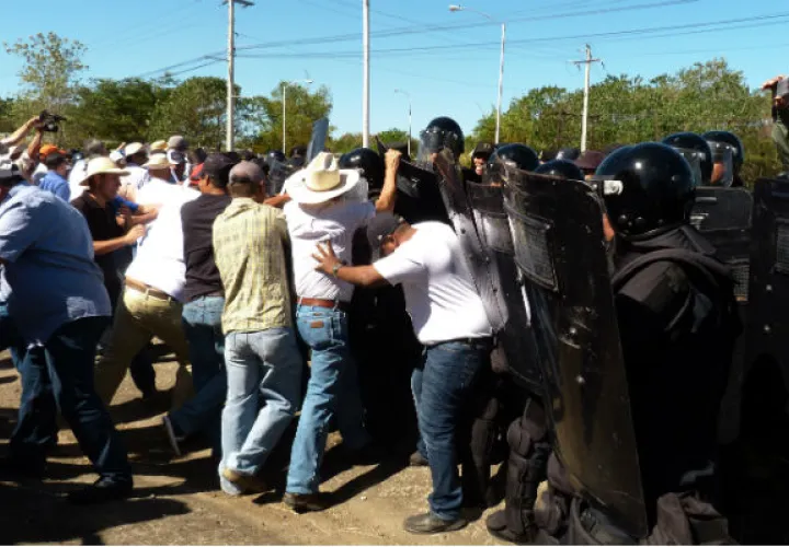 [Mira la galería]