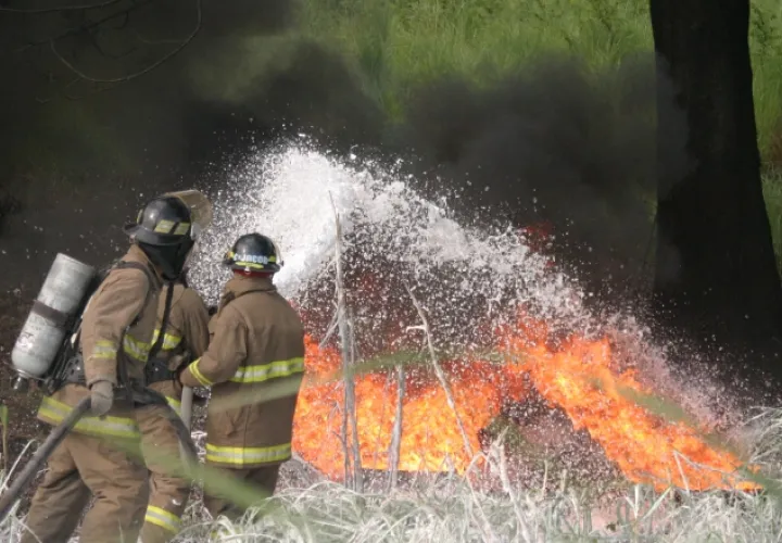 Las  investigaciones revelan que la mayor parte de los incendios forestales  son provocados  por la mano del hombre. Archivo