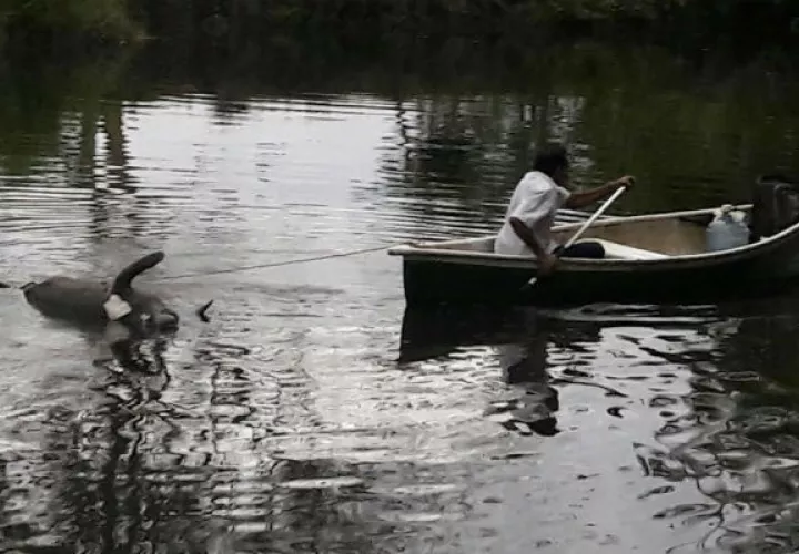 Flotando en las aguas del río San San. Fotos: Leonardo Machuca.  