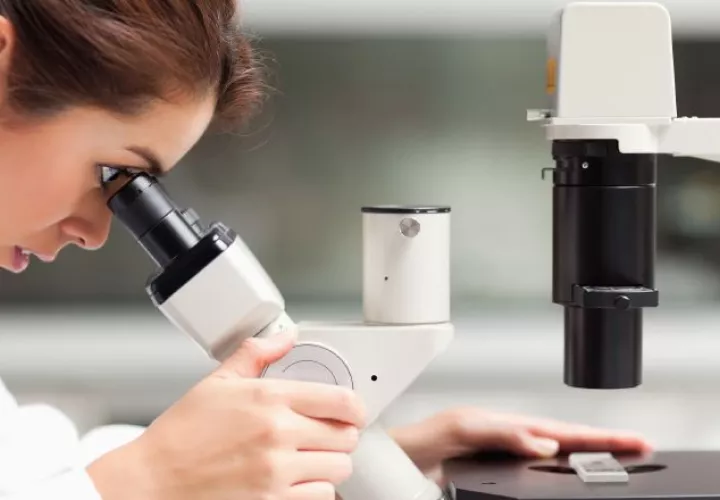 De acuerdo a investigaciones registradas durante 2010-2016, el 48% fueron inscritas por mujeres. /Foto Archivo 