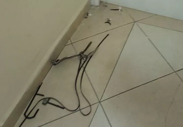 Según testigos, la FCT se encargará de saldar los daños causados / Cortesía.