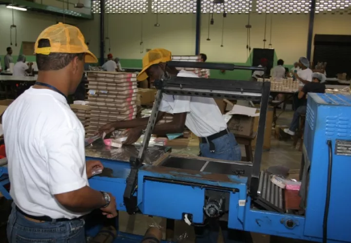 Expertos indican que sectores como el agro o el industrial podrían generar mayor cantidad de empleos. /Foto Archivo
