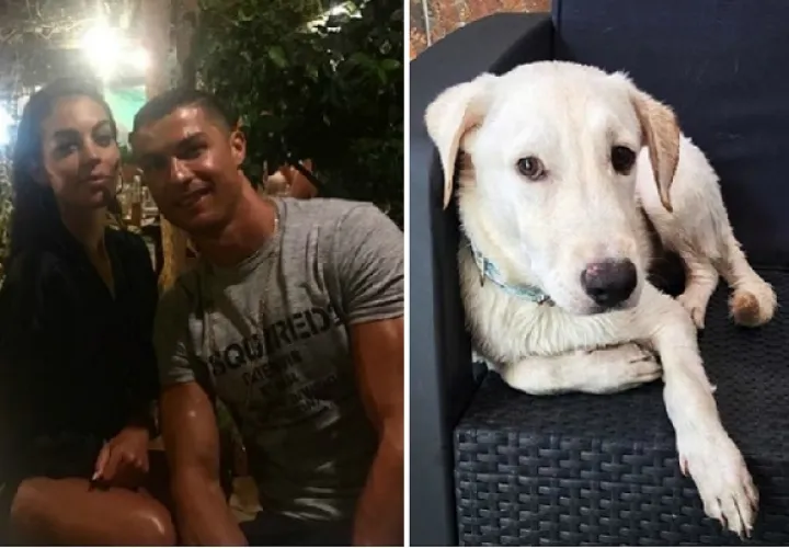 Rodríguez cosechó los aplausos por su gesto. 