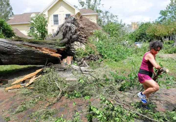 Una mujer limpia su propiedad en Orlando, Florida, donde el huracán Irma derribó un gran árbol. /Foto EFE
