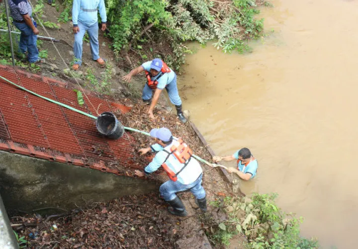 Este problema ha originado desabastecimiento del 50 por ciento de la población. Foto: José Adames