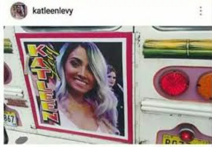La diputada fue pintada en la puerta de emergencia de un diablo rojo / Foto de Instagram.