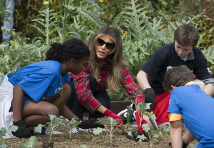  La primera dama, Melania Trump, asiste a unos niños a plantar hortalizas. FOTO/EFE