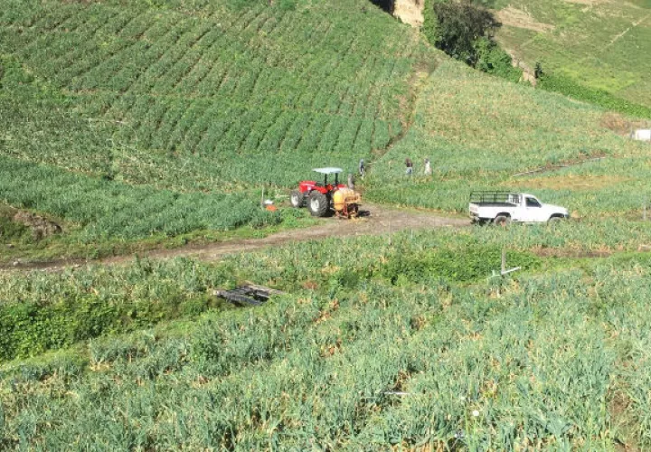 Autoridaders tampoco hacen caso a las plagas que ponen en riesgo la producción nacional.