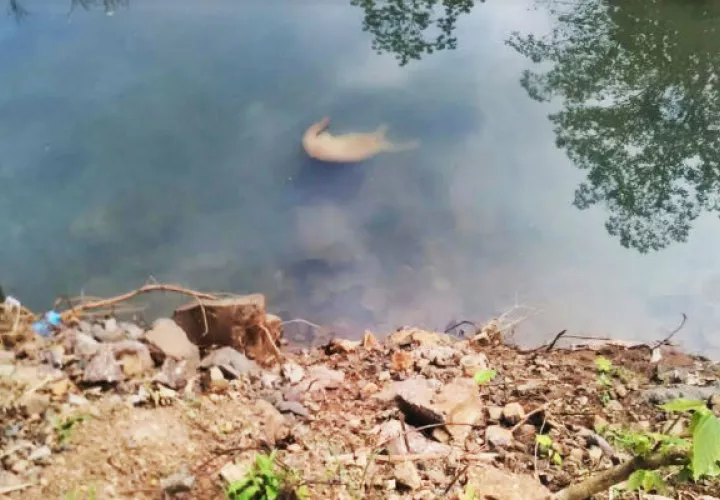 La muer apareció flotando en las aguas del río Arraijancito de Burunga. / Archivo.