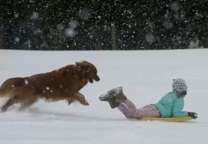 Una persona y su perro juegan en la nieve. FOTO/AP