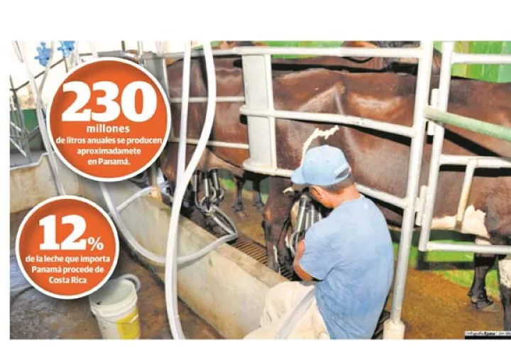 Los productores nacionales aseguran que su producto es de primera calidad, sin embargo la leche que entra de otros países podría no cumplir con normas sanitarias. /Foto Archivo 