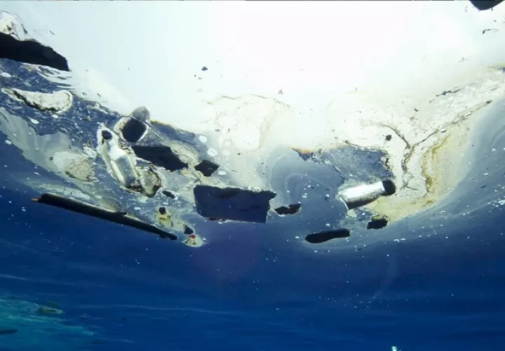 En Panamá, botellas, vasos y bolsas de plástico predominan en los manglares y mares. También se encuentran colillas de cigarrillo.