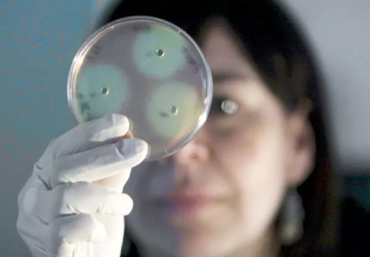 muerte, e. coli, bacteria