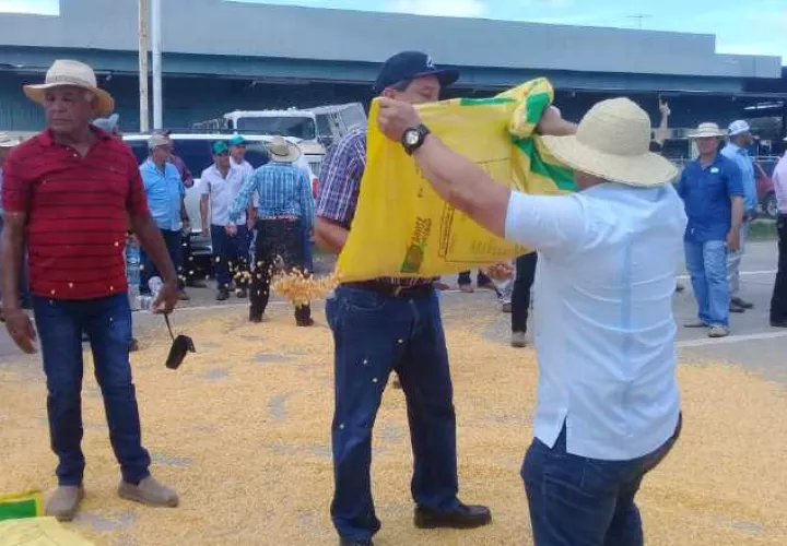 Según el presidente de Anagan, se está  saturando el mercado, lo que afecta  no solo al productor, sino a todo el comercio local. /Foto Thays Domínguez
