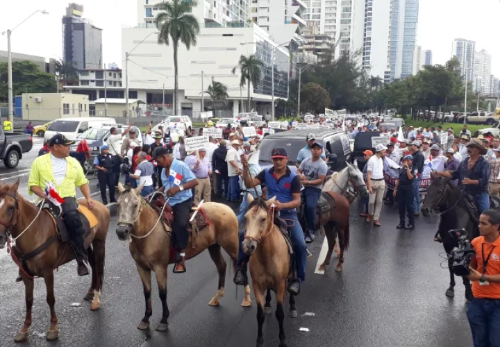 Los productores aprovecharon para pedir respeto a su trabajo, su inversión y el pan de su familia al gobierno de Juan Carlos Varela. /Foto: Yaissel Urieta Moreno
