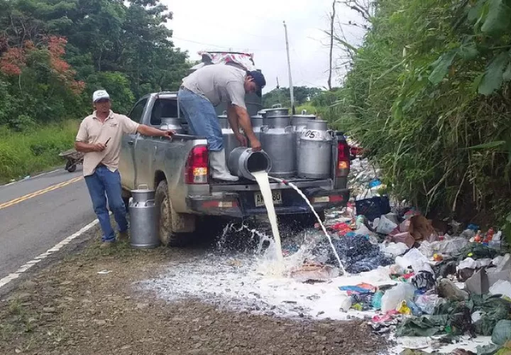 Cerca de 4,000 litros de leche se dañaron. /Foto Cortesía